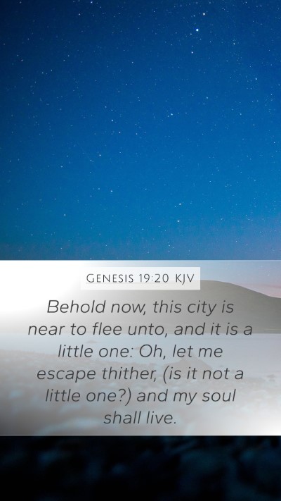 Genesis 19:20 Explained