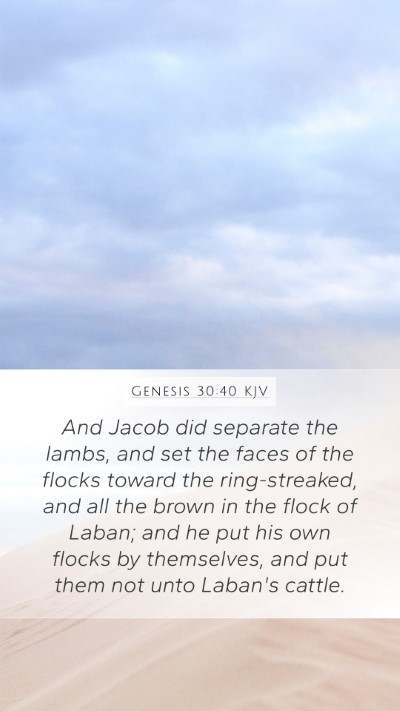 Genesis 30:40 Explained