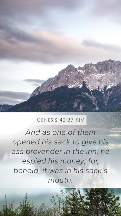 Genesis 42:27 Explained