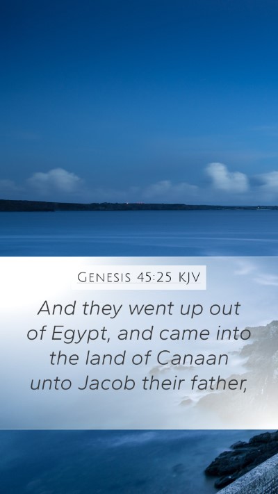 Genesis 45:25 Explained