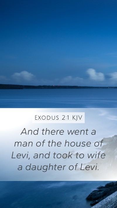Exodus 2:1 Explained