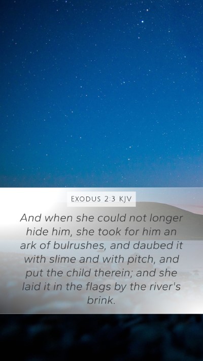 Exodus 2:3 Explained