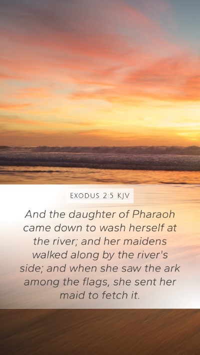 Exodus 2:5 Explained