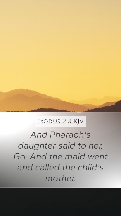Exodus 2:8 Explained