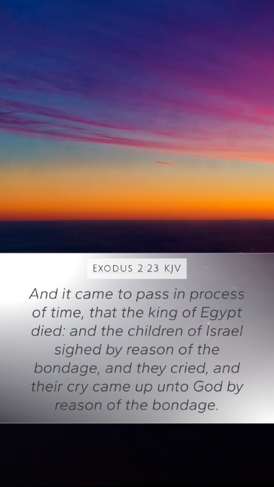 Exodus 2:23 Explained