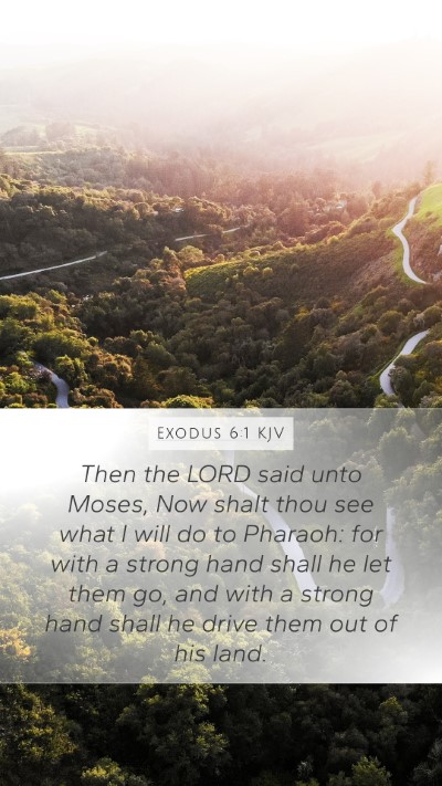 Exodus 6:1 Explained