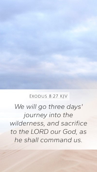 Exodus 8:27 Explained