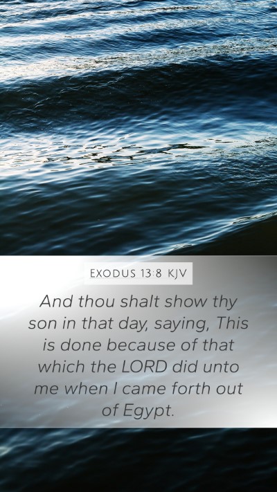 Exodus 13:8 Explained