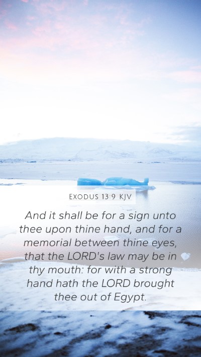 Exodus 13:9 Explained