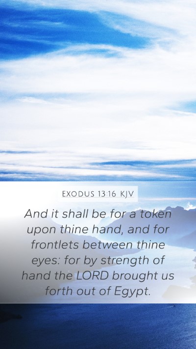 Exodus 13:16 Explained