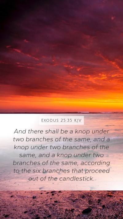 Exodus 25:35 Explained
