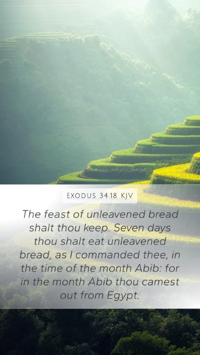 Exodus 34:18 Explained