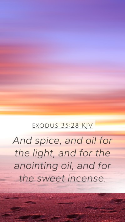 Exodus 35:28 Explained