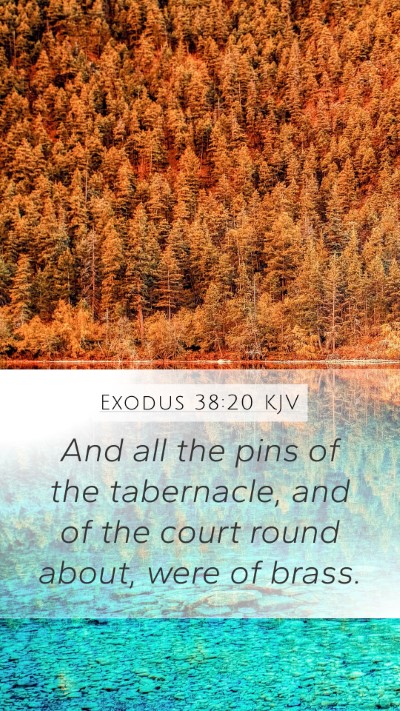 Exodus 38:20 Explained