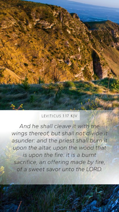 Leviticus 1:17 Explained