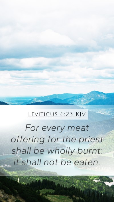 Leviticus 6:23 Explained
