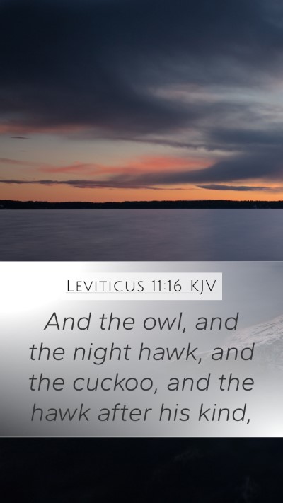 Leviticus 11:16 Explained