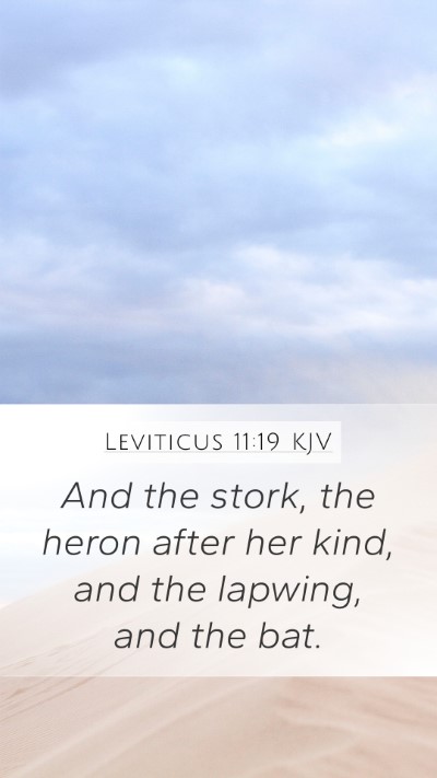 Leviticus 11:19 Explained