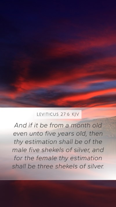 Leviticus 27:6 Explained
