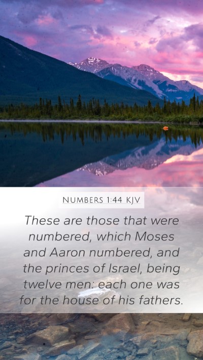 Numbers 1:44 Explained