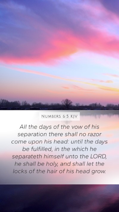 Numbers 6:5 Explained