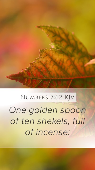 Numbers 7:62 Explained