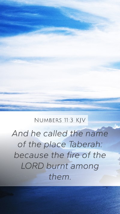 Numbers 11:3 Explained