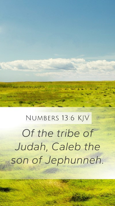 Numbers 13:6 Explained