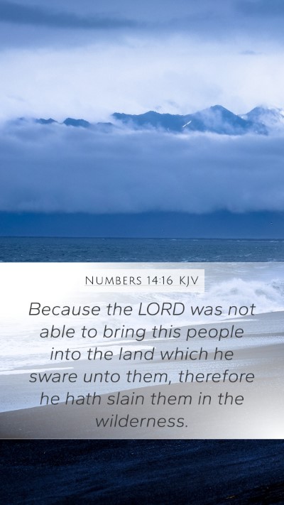 Numbers 14:16 Explained