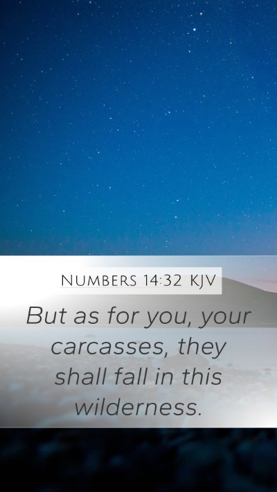 Numbers 14:32 Explained