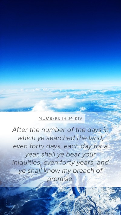 Numbers 14:34 Explained