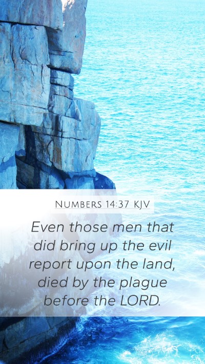 Numbers 14:37 Explained