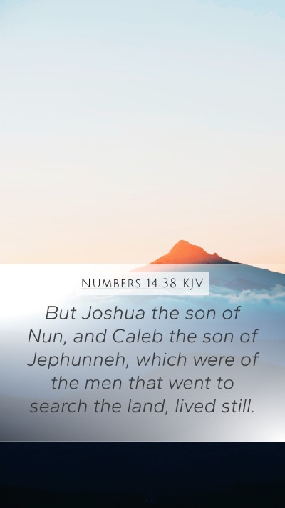 Numbers 14:38 Explained