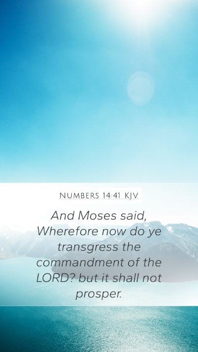 Numbers 14:41 Explained