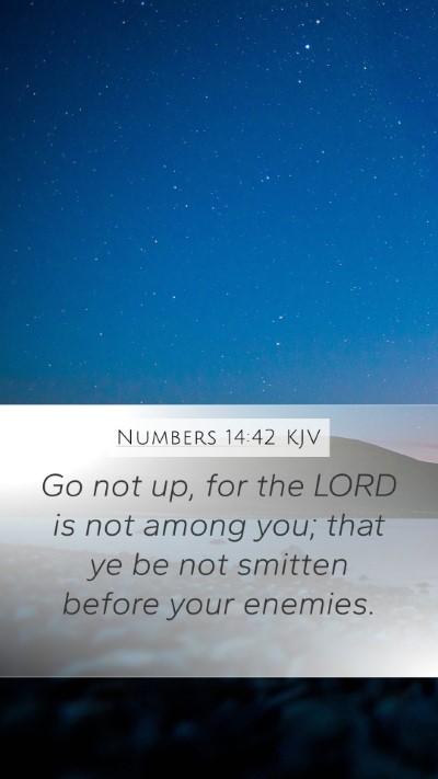 Numbers 14:42 Explained