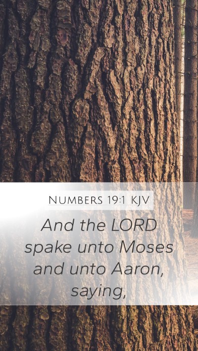 Numbers 19:1 Explained