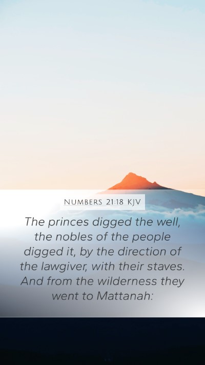 Numbers 21:18 Explained