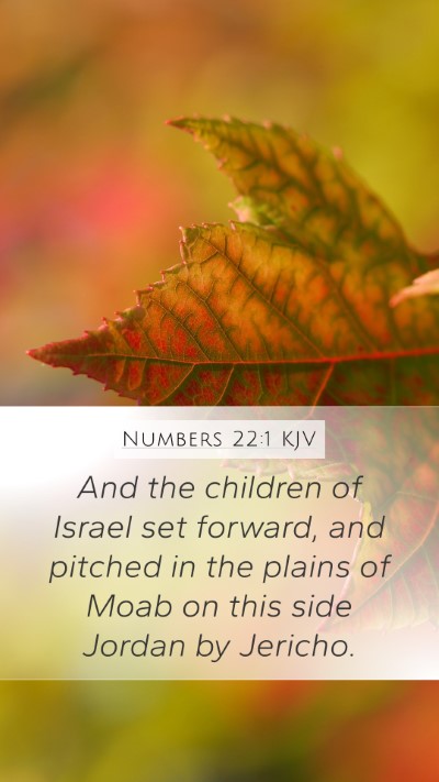 Numbers 22:1 Explained