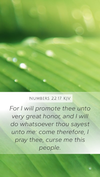Numbers 22:17 Explained