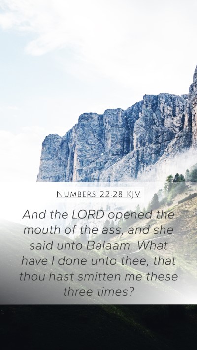 Numbers 22:28 Explained