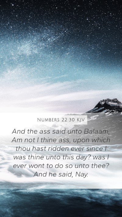 Numbers 22:30 Explained
