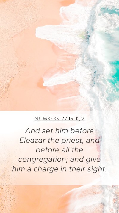 Numbers 27:19 Explained