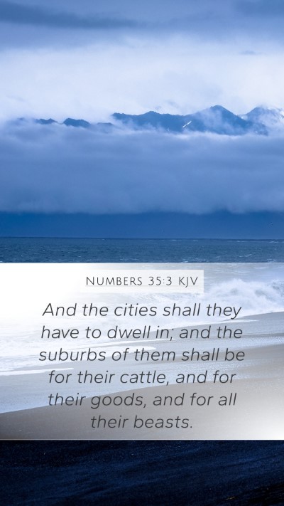Numbers 35:3 Explained
