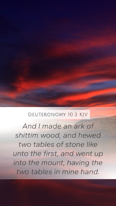 Deuteronomy 10:3 Explained