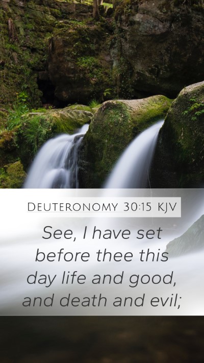Deuteronomy 30:15 Explained