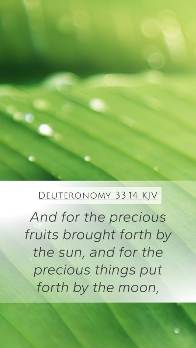Deuteronomy 33:14 Explained