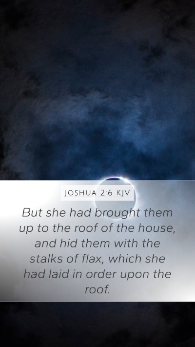 Joshua 2:6 Explained