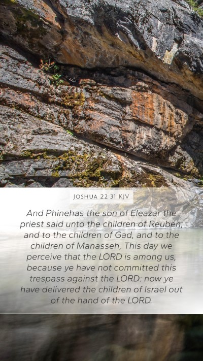 Joshua 22:31 Explained