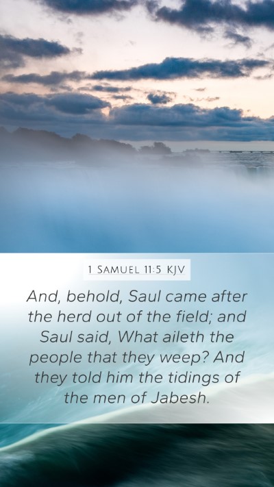 1 Samuel 11:5 Explained