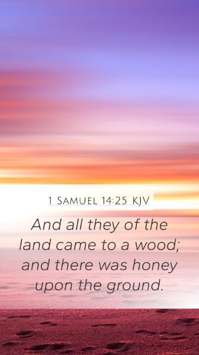 1 Samuel 14:25 Explained